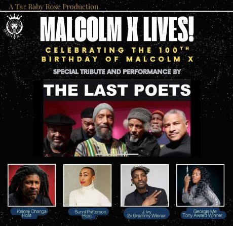 MALCOLM X LIVES!
